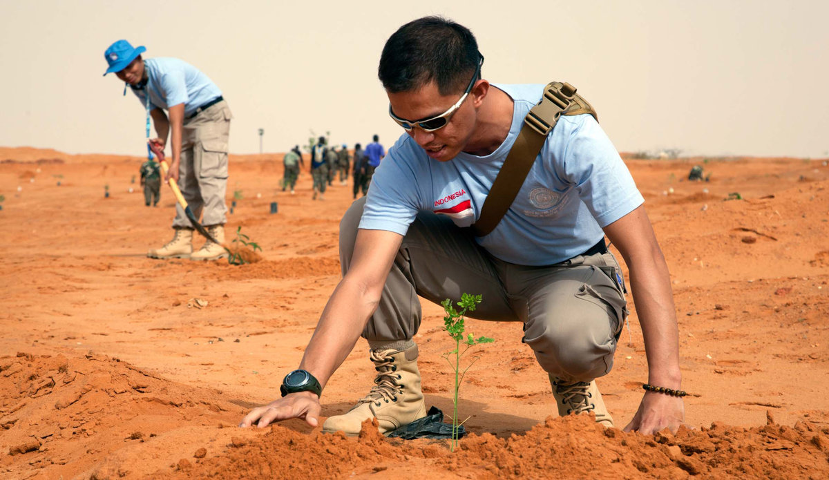 UNAMID staff (civilian, military and police) commemorate the World Environment Day planting trees at the UNAMID headquarters in El Fasher.