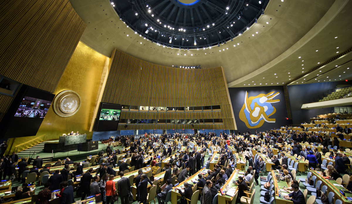 Asamblea General de las Naciones Unidas.